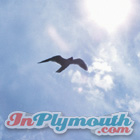 Plymouth Magazine